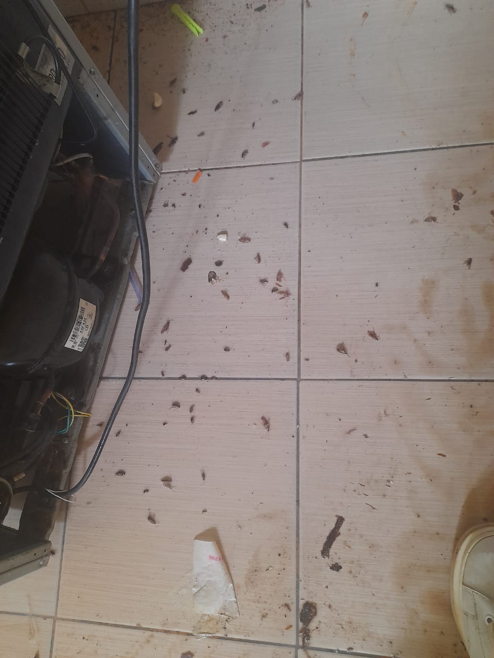 Post Construction Clean-up